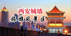 美女的xx让我免费看中国陕西-西安城墙旅游风景区