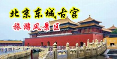 A艹艹艹中国北京-东城古宫旅游风景区